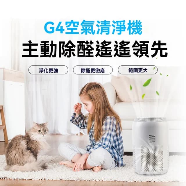 【Felsted 菲仕德】臭氧機 臭氧除醛儀 殺菌臭氧機 空氣清淨機(60g臭氧發生器 祛甲醛/除異味/空氣淨化)