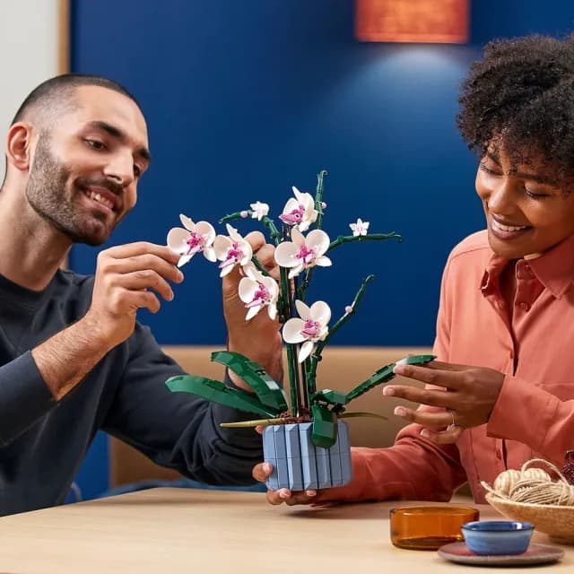 【LEGO 樂高】Botanicals 10311 蘭花(花藝 植栽 居家擺設 DIY 情人節禮物)