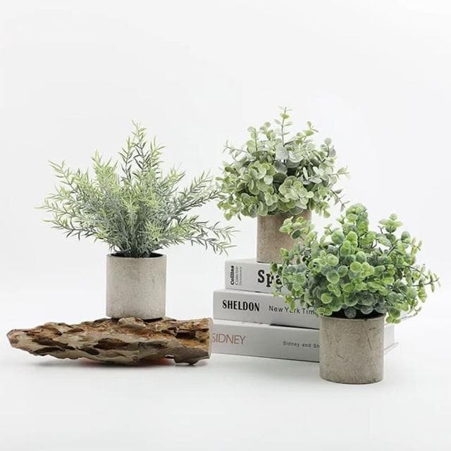 【樂生活 Good Mood】仿真植物小盆栽 居家綠化擺飾 尤加利 芙蓉菊 小玉樹(仿真植物 環境綠化)