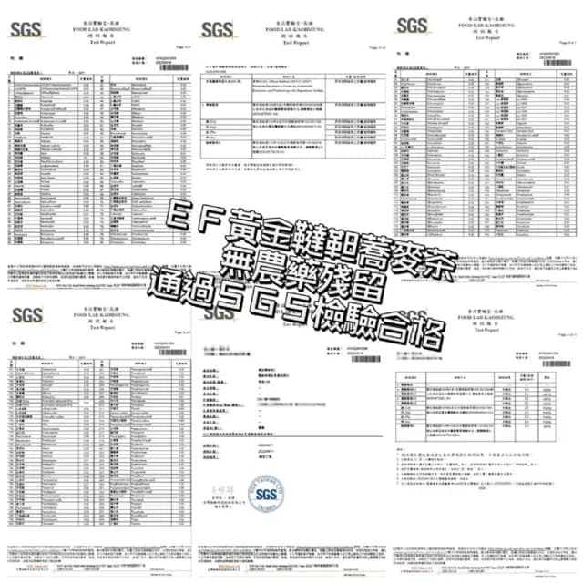 【EF】黃金韃靼蕎麥茶-三角立體茶包25入/包(無咖啡因)