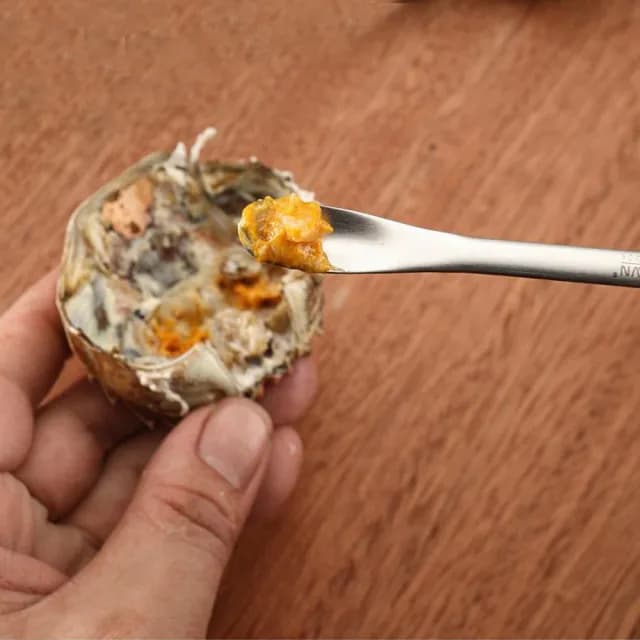 【PUSH!】餐具 304不鏽鋼吃蟹工具 螃蟹工具 大閘蟹工具 蟹針 蟹夾 螃蟹鉗 蟹叉 豪華版(蟹工具 八件套 D299)