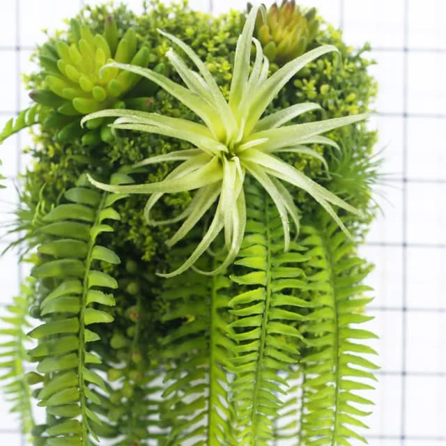 【HUGO DECO 榆果傢飾】空氣鳳梨蕨葉植生框(擬真植栽/擬真植物/電箱佈置/居家佈置/壁面裝飾)