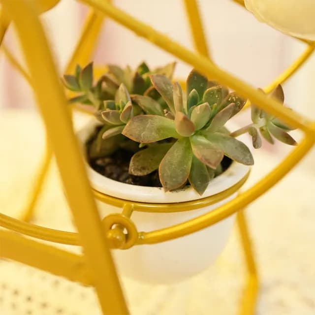 【園藝蒔光】摩天輪花器(花盆 花架 盆栽 多肉 白瓷 觀葉植物)