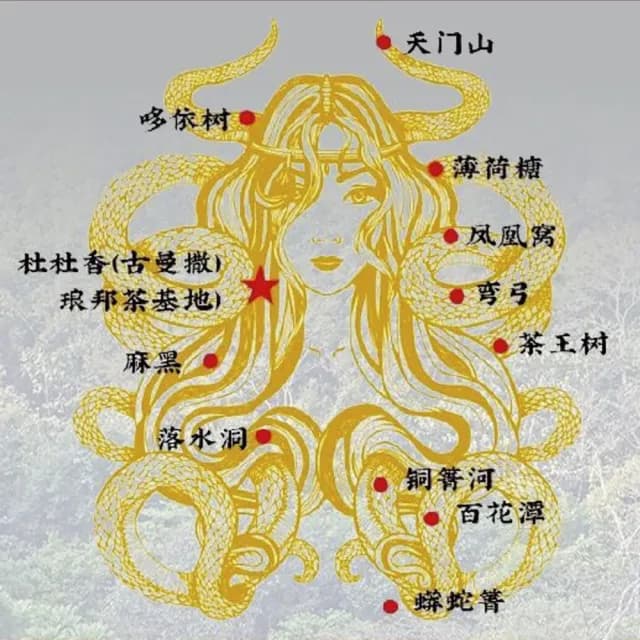 【盛嘉源】蟒蛇箐 2010(普洱茶   生茶 357g)