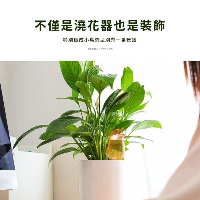 【園藝用具】小鳥造型自動澆花器3入-藍(庭院 植物盆栽布置 自動滴水器 懶人澆水器 綠植 多肉 澆花瓶)