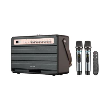 【aiwa 日本愛華】MI-X450 Pro ENIGMA 藍牙音箱/藍芽音響(無線麥克風*2+喇叭組)