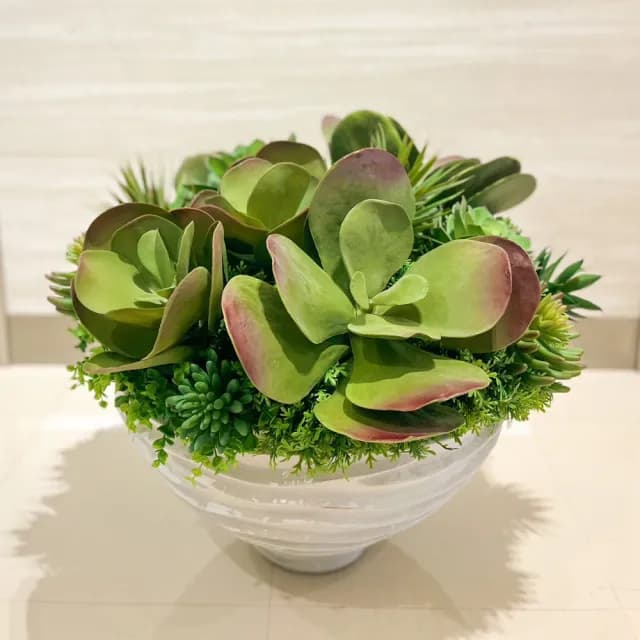 【HUGO DECO 榆果傢飾】特級擬真唐印多肉植栽組合 免運專人配送限雙北市(人造植栽/仿真植物/綠化/佈置)