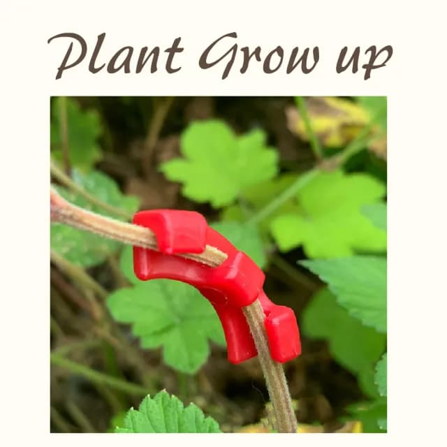 90度植物彎曲器10入(不傷植物 訓練器 植物生長 盆栽 盆景 果樹 彎枝器 園藝工具 植物固定器)