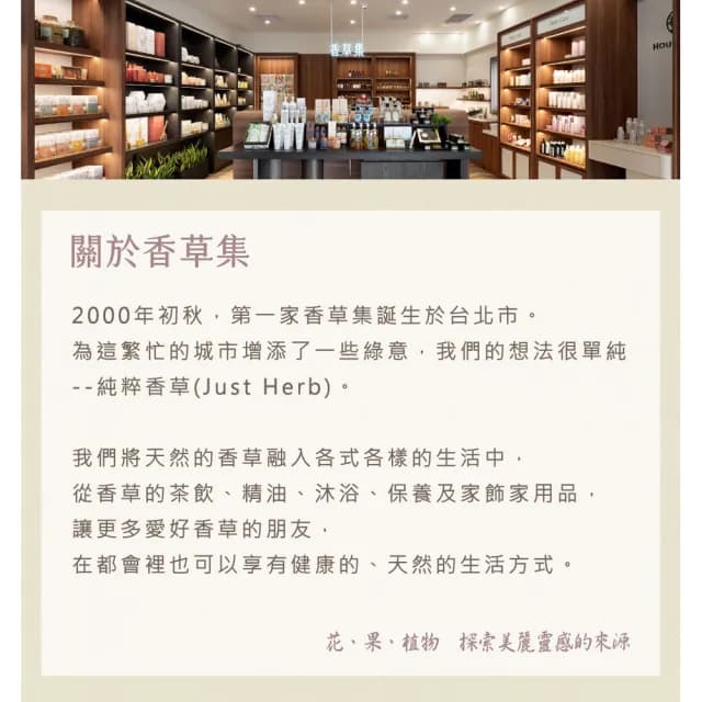 【JustHerb香草集】療癒森林手提水氧機(無線可攜香氣隨行 送禮)推薦/生日/情人/長輩/喬遷)