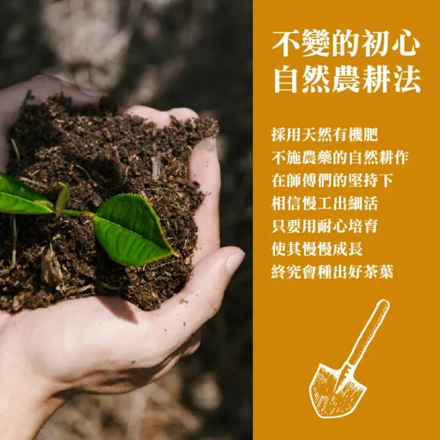 【名池茶業】二兩灑金禮盒-阿里山高山烏龍茶葉75gx2罐x4盒(共1斤)