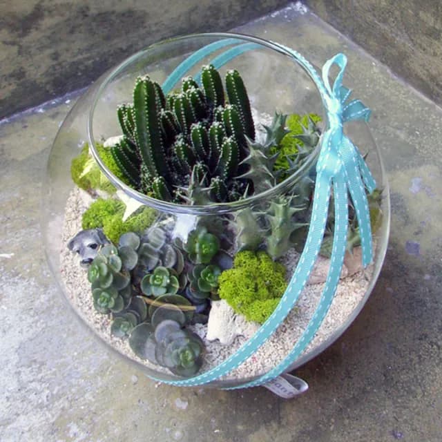 【Santa Ana】10吋玻璃球多肉植物盆栽組合(三種以上不同植栽)