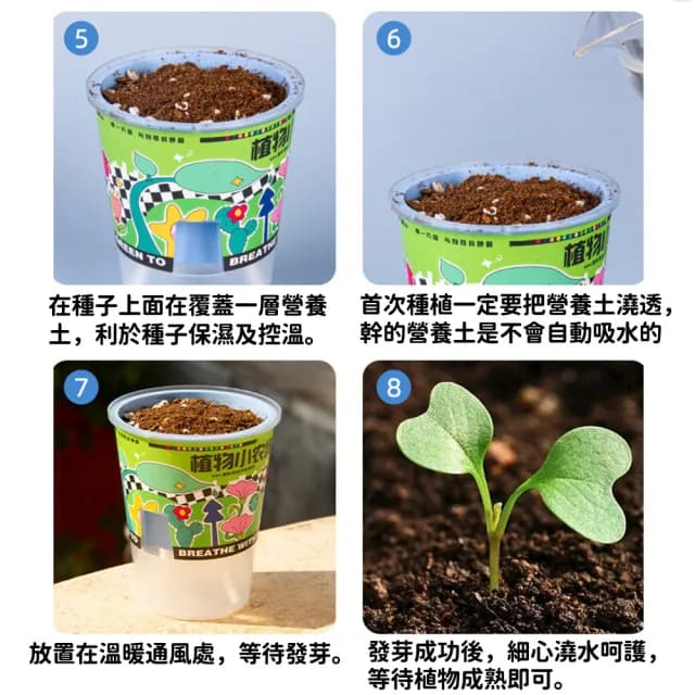 【百獅】大號 種植小盆栽 兒童植物 兒童盆栽(DIY負離子綠植 小盆栽 種植盆栽 幼稚園 國小種植功課)