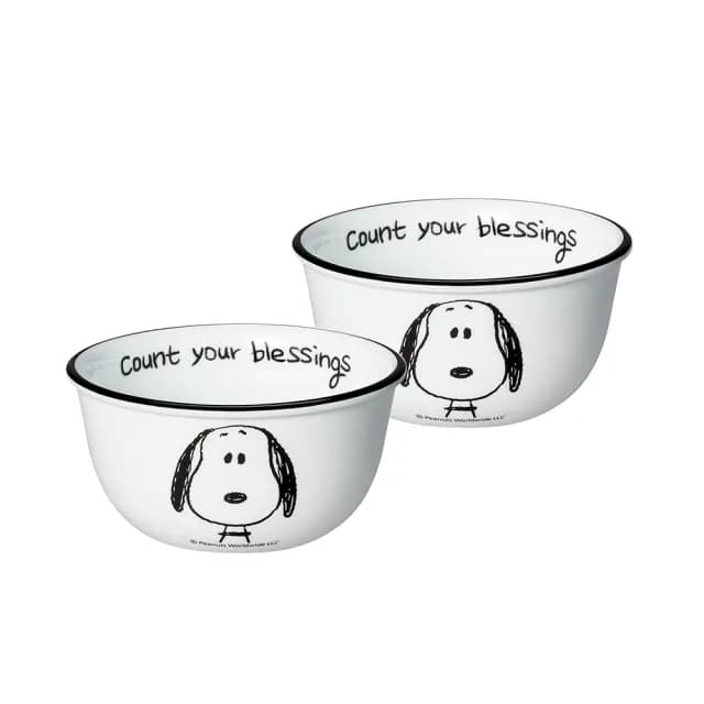 【CorelleBrands 康寧餐具】SNOOPY 經典語錄2件式餐碗組(B01)