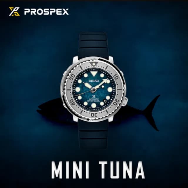 【SEIKO 精工】愛海洋 南極企鵝悠游 機械腕錶 七夕 情人節 禮物 送禮 推薦(SRPH77K1/4R35-04Z0G)