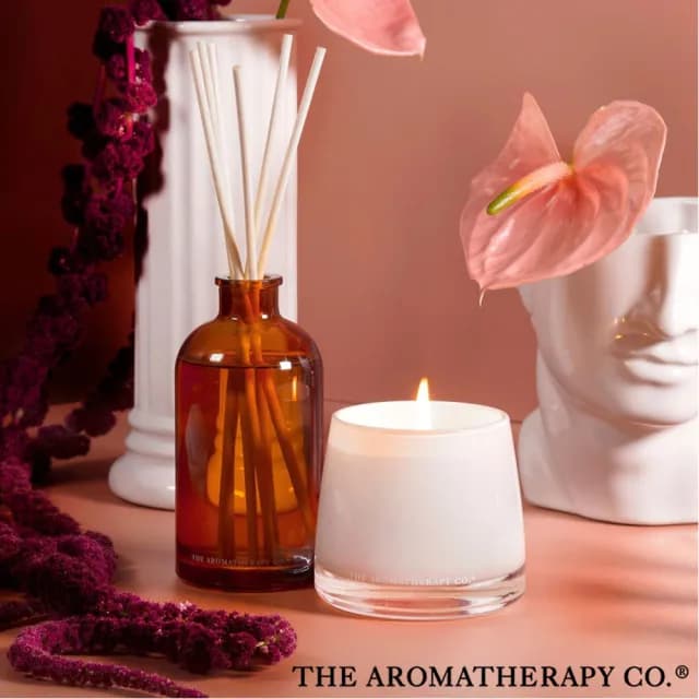 【Aromatherapy Co】Therapy 系列 Sandalwood & Cedar 雪松檀香 260g 香氛蠟燭
