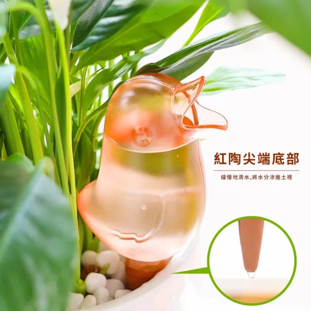【園藝造型用具】小鳥造型自動澆花器3入(植物盆栽布置 自動滴水器 家用懶人澆水器 綠植造景 多肉 澆花瓶)
