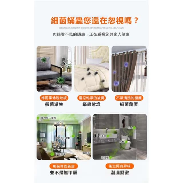 【Felsted】110v臭氧消毒機 臭氧發生器(家用除異味/除甲醛/活氧殺菌/空氣淨化/10g)