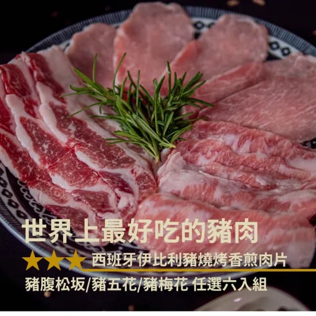 【嚴選好物HOWGOOD-中秋烤肉】西班牙國寶伊比利豬燒烤香煎肉片任選6盒組(世界聞名夢幻食材)