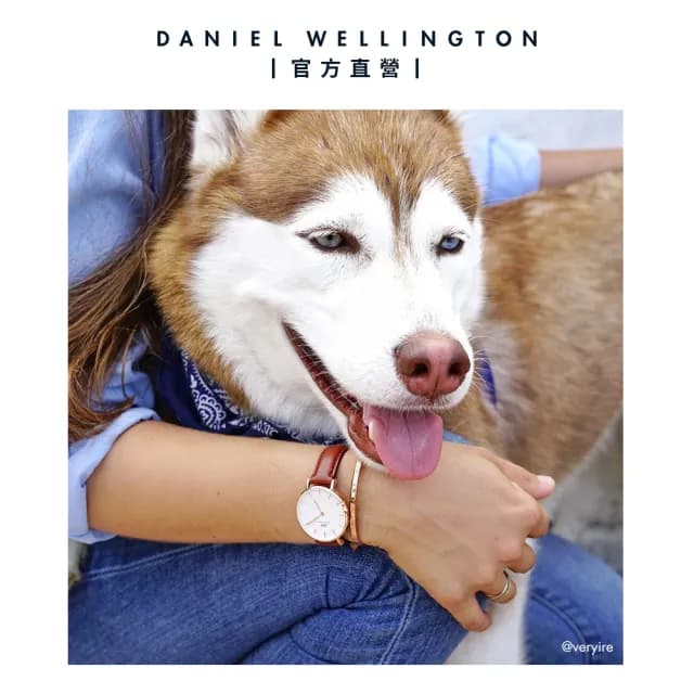 【Daniel Wellington】DW 手錶  Petite St Mawes 28mm棕色真皮皮革錶(兩色 DW00100231)