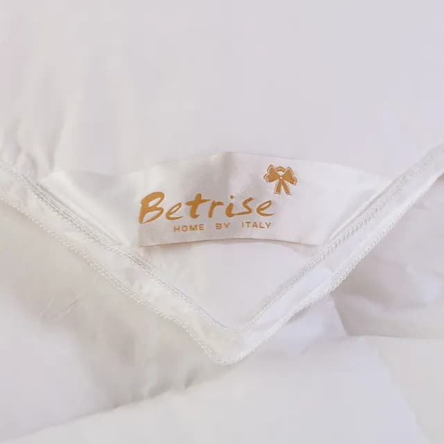 【Betrise】甄選匈牙利95%立體隔間羽絨冬被-MIT台灣製(單人5x7尺)