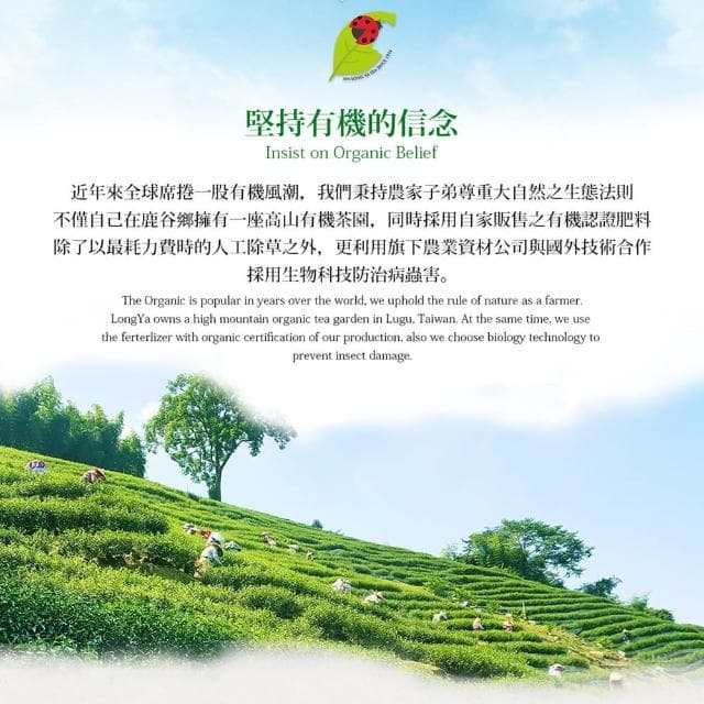 【鑫龍源有機茶】杉林溪有機烏龍+金萱茶葉2罐組(50g/罐共100g/有機認證茶/可冷泡茶/米其林3星/附提袋)