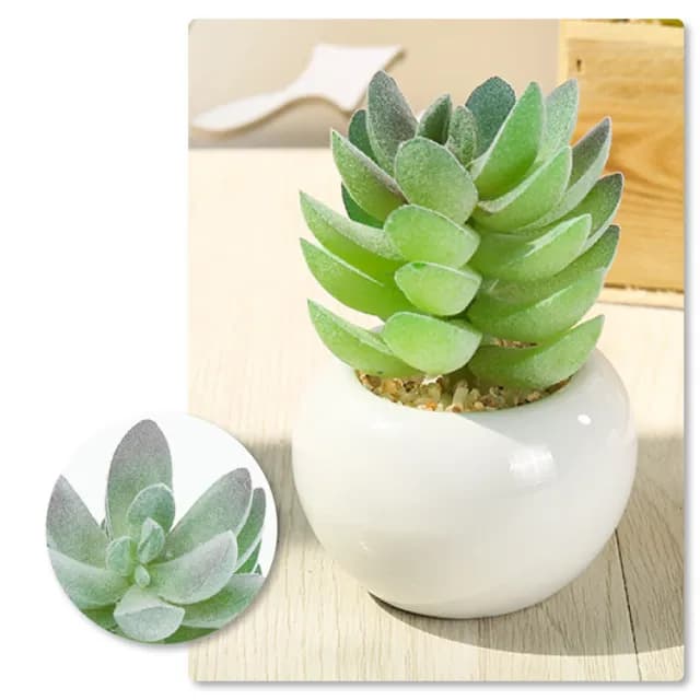 【點綴生活】北歐仙人掌小圓盆栽(多肉植物 仿真人造花 乾燥花 假花盆 室內 居家擺飾 辦公室 桌面裝飾品)