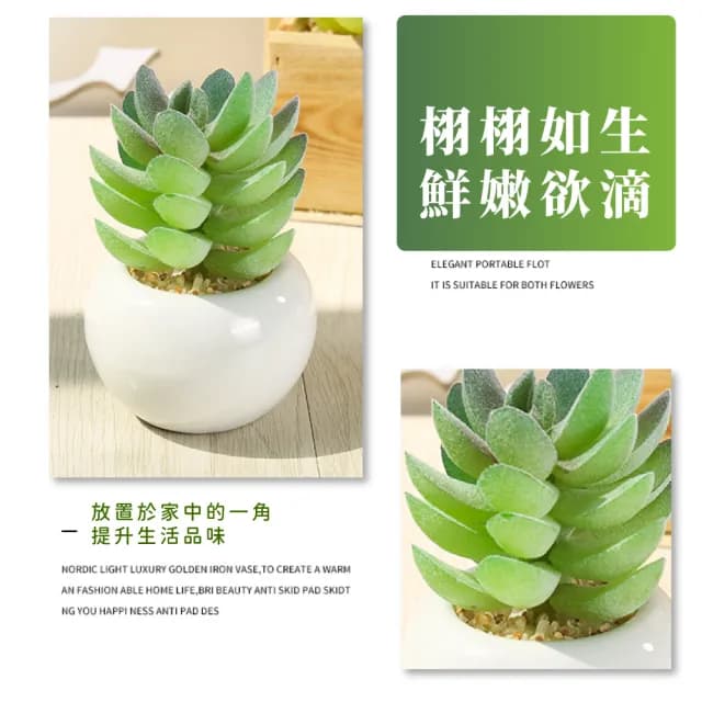 【點綴生活】北歐仙人掌小圓盆栽(多肉植物 仿真人造花 乾燥花 假花盆 室內 居家擺飾 辦公室 桌面裝飾品)