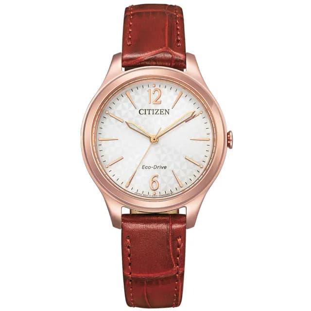 【CITIZEN 星辰】LADYS系列 時尚格紋 光動能腕錶 七夕 情人節 送禮 推薦(EM0508-12A)