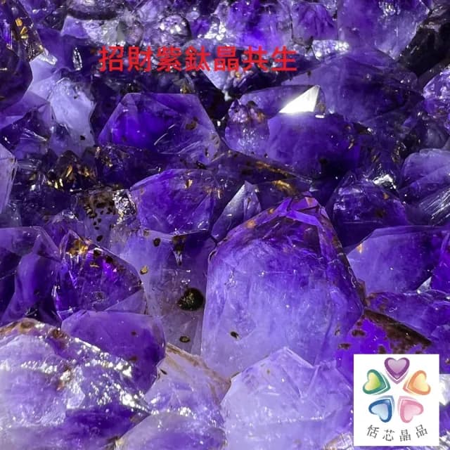 【恬芯晶品】10.5kg巴西頂級紫晶圓洞聚寶盆AM61(桌上型聚財招財貴人開運風水擺件帝王紫水晶洞新居禮物)