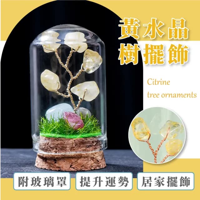 【水晶運勢】天然黃水晶樹擺飾-附玻璃罩(玻璃盅 平安 招財樹 自信 桌面擺件 辦公桌 送禮 禮物 風水)