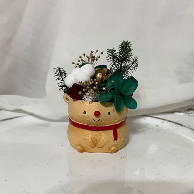 【OSTARA FLORIST 奧斯塔拉花藝】聖誕小盆花/附透明盒(永生花、聖誕節、交換禮物、盆花)