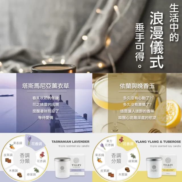 【Tilley 皇家特莉】澳洲原裝微醺大豆香氛蠟燭(共多款可選)