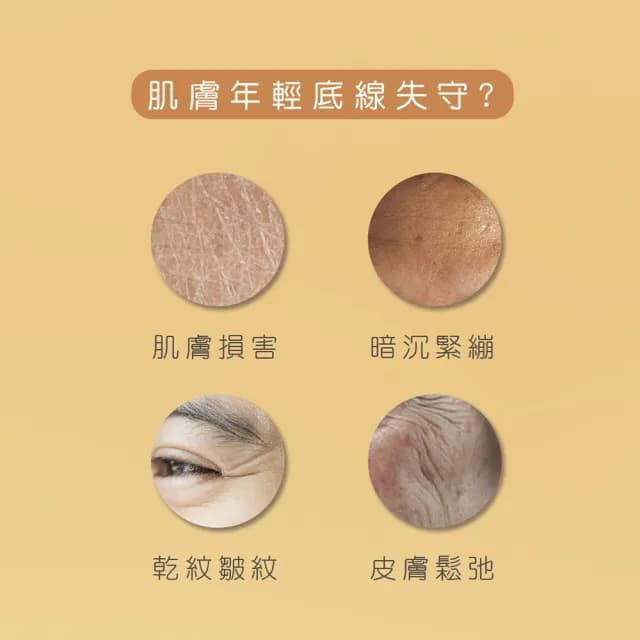 【Bb LABORATORIES】玻尿酸精華原液 30ml(保濕補水 敏感肌適用 前導 清爽 日本 SPA保養品)