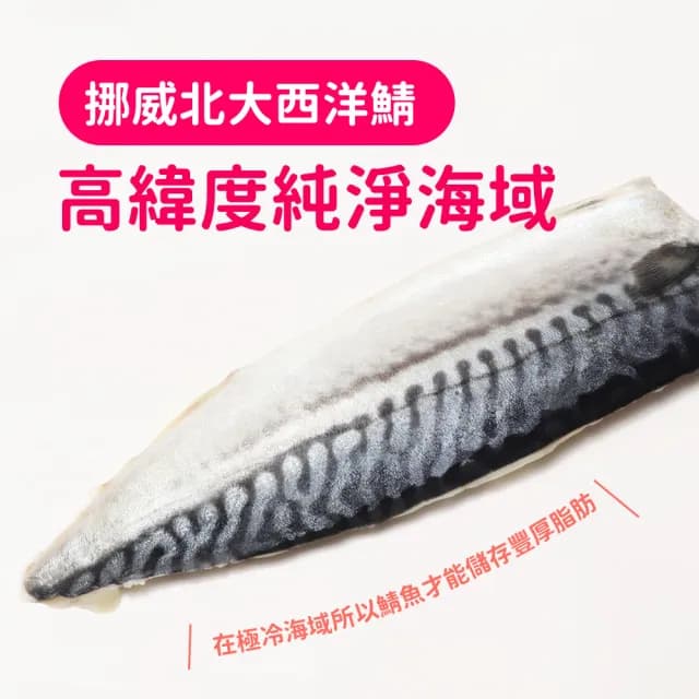 【Cococina】挪威-薄鹽鯖魚腹150g*10片組 中秋烤肉 燒烤(150g/片*10片)
