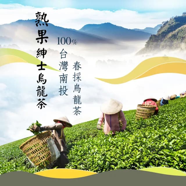 【High Tea】熟果紳士烏龍茶3.5gx12入x1袋(嚴選南投四季春茶種)