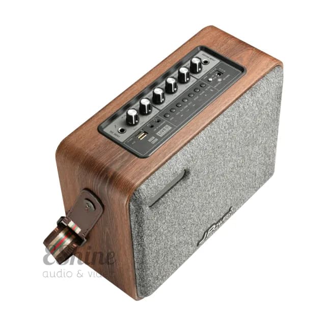 【J-POWER 杰強】震天雷6.5吋 肩攜式KTV藍牙音響(實木重砲版 雙麥克風)