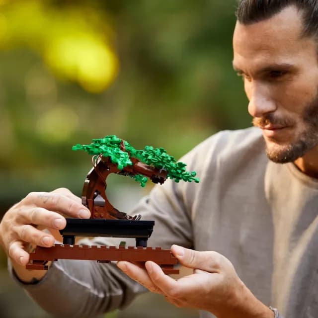 【LEGO 樂高】Botanicals 10281 盆栽(植物盆栽 居家擺設 DIY 禮物 母親節禮物)