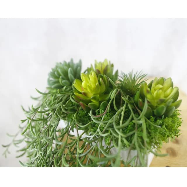 【HUGO DECO 榆果傢飾】高擬真紫弦月藤蔓植栽(擬真植物/禮物/綠化/永不凋零/佈置/蕨類)