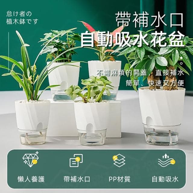 【JOHN HOUSE】帶補水口自動吸水花盆 透明花盆 植物花盆 自動補水盆栽 盆栽容器(中號)