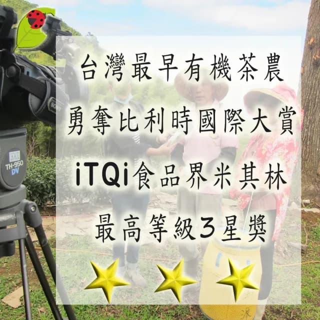 【鑫龍源有機茶】嫣脂香紅花果艷香有機紅茶高山茶葉6包組/無焙火(12g/包共72g/附提袋/有機認證茶/TEA)