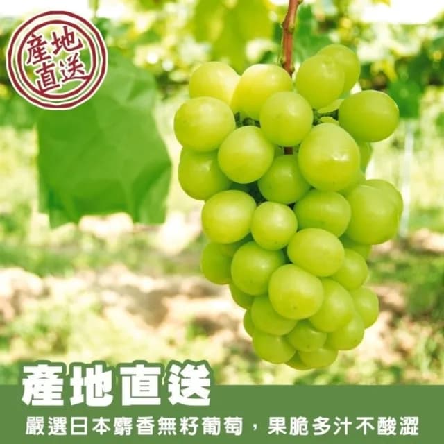 【WANG 蔬果】日本岡山縣晴王麝香葡萄1房禮盒x1盒(600-700g/串)(中秋禮盒)