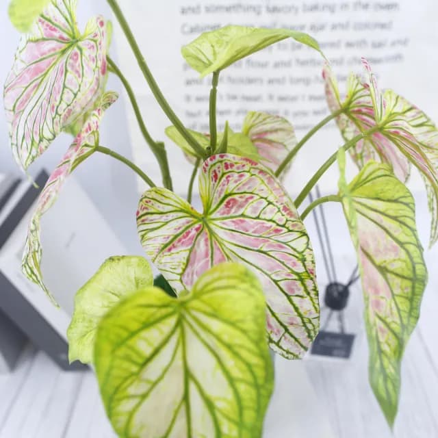 【HUGO DECO 榆果傢飾】高擬真彩芋葉盆栽(仿真植物/觀葉盆栽/人造植物/綠化/佈置)