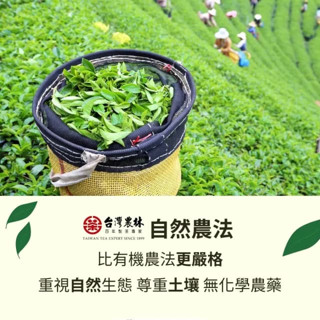 【台灣農林】官方直營 2025頂級茶葉禮盒 無毒自然農法芯芽(20gx5罐+30gx1罐/盒)