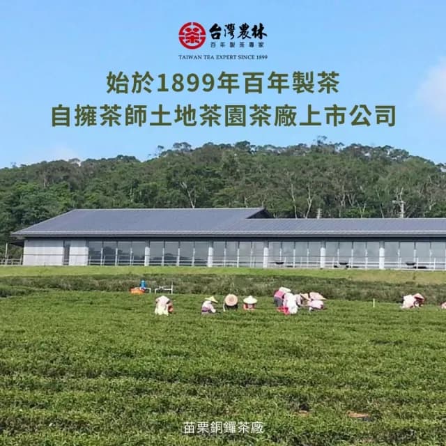 【台灣農林】官方直營 仙女紅茶 超商聯名茶葉(200g/包/散茶)