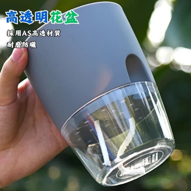【京太陽】透明自吸水花盆(懶人花盆 自動澆水 吸水花盆 透明花盆 盆栽 植物花盆)