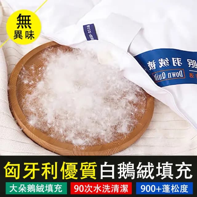 冬季加厚保暖羽絨被 柔軟靜音 蓬鬆透氣(羽絨被 鵝絨被 棉被 春秋被 冬被 被芯)