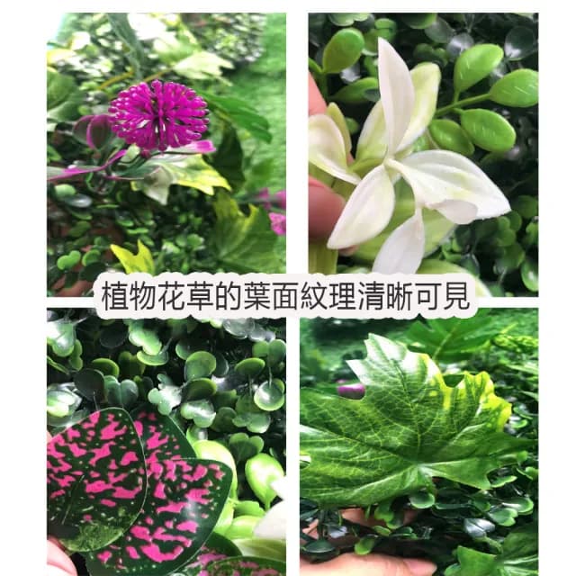 【POKO】仿真植物牆 60*40cm 園藝造景(綠植牆 植栽墻 景觀裝飾 仿真花 園藝花牆 植物牆)