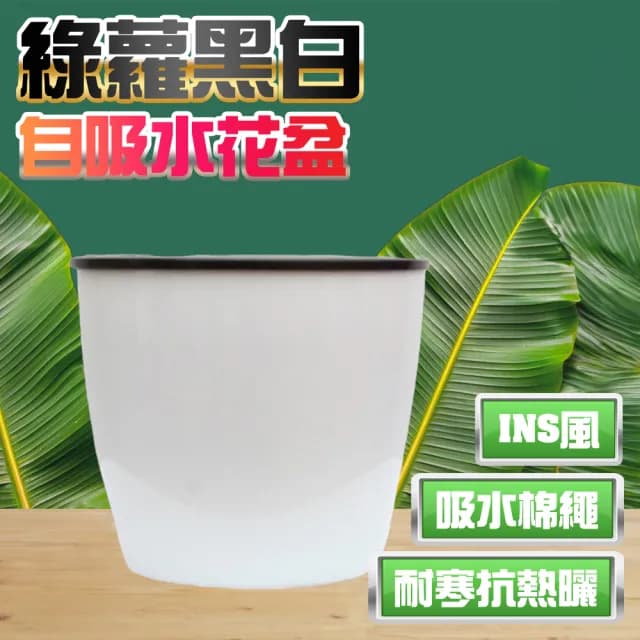 【京太陽】綠蘿花盆黑白色(植物盆 陽台花盆 盆栽 自動澆水花盆)