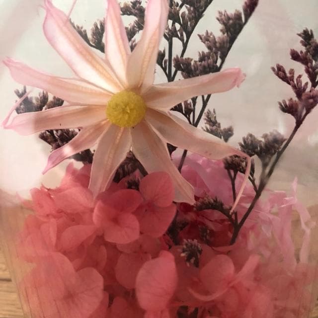 【A-ONE 匯旺】迷你花束 粉雛菊 珠光乾燥花 燈瓶 花束禮物 擺飾 情人節 生日 畢業 婚禮小物 情人節禮物