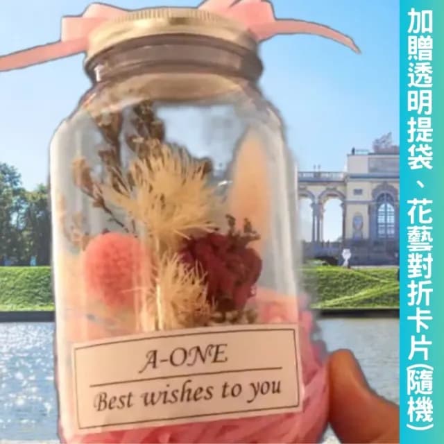 【A-ONE 匯旺】乾燥花束 永生球花 紅玫瑰 畢業乾燥花 永生花束 許願瓶夜燈 情人節 生日 聖誕節 交換禮物